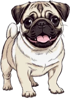 Pug